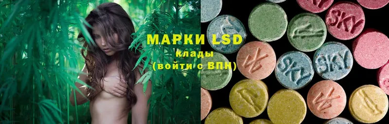 LSD-25 экстази кислота  Урус-Мартан 